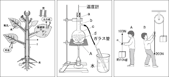 イメージ画像