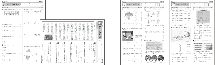 かくにんテスト国算（1～6年） 理社（3～6年）