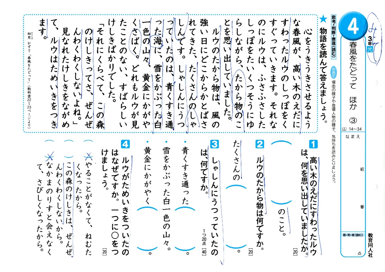 教育同人社　形成プリント　国語の達成